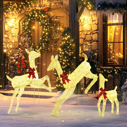 Three-Piece LED Light Reindeer Christmas Decoration-1